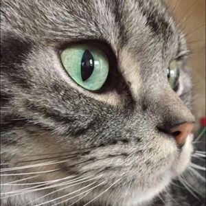 Meet your Posher, Jo